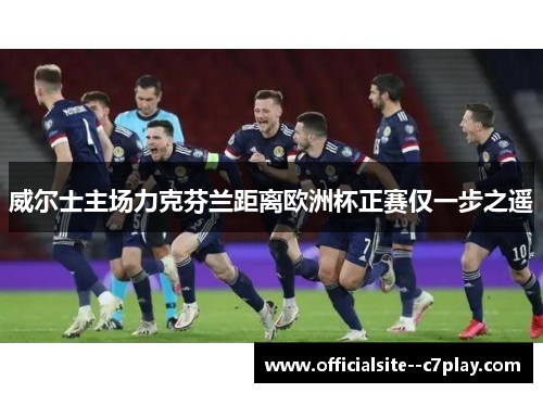 威尔士主场力克芬兰距离欧洲杯正赛仅一步之遥